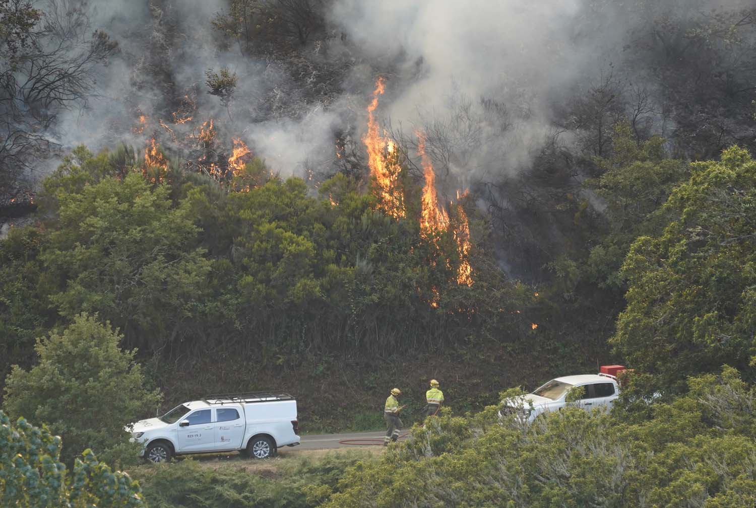 Incendio en la localidad berciana de Quintela César Sánchez ICAL(25)