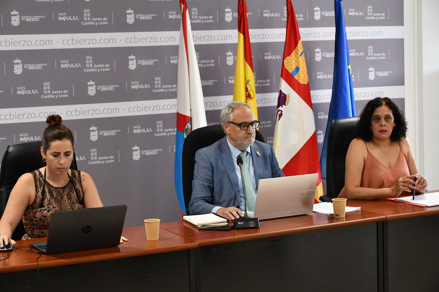 Presupuesto Consejo Comarcal del Bierzo (2)