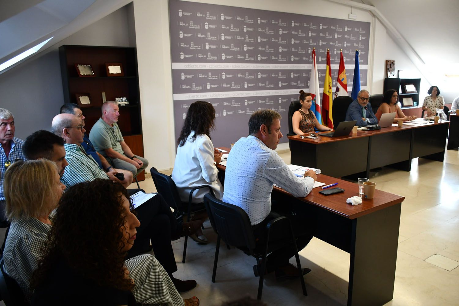 Presupuesto Consejo Comarcal del Bierzo (3)