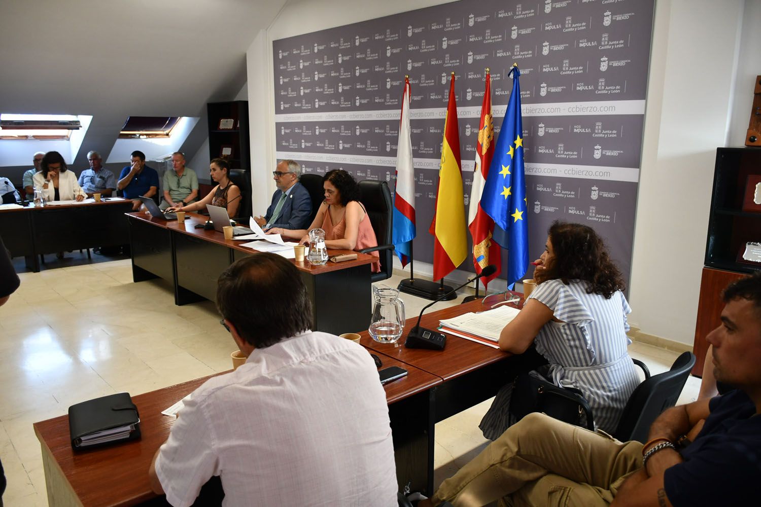 Presupuesto Consejo Comarcal del Bierzo (5)