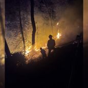 Incendio de Ávila | Foto: AtBrif