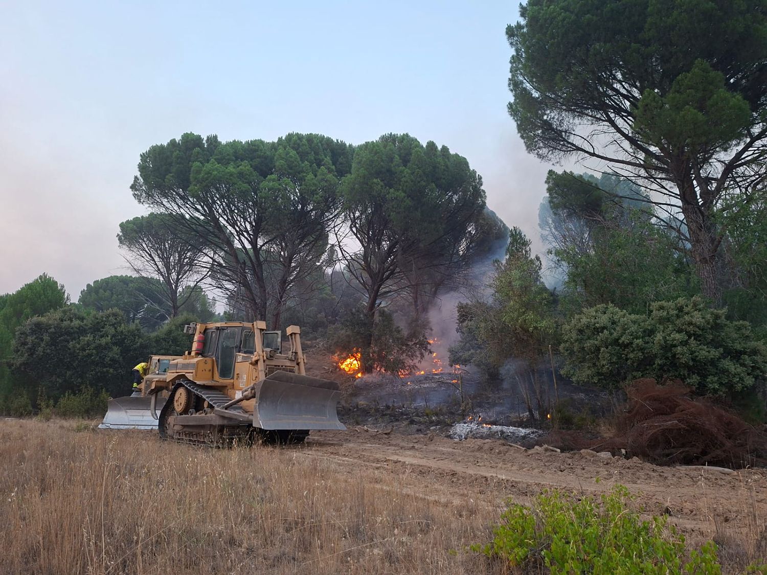 Incendio de Ávila |Foto: MeteoÁvila