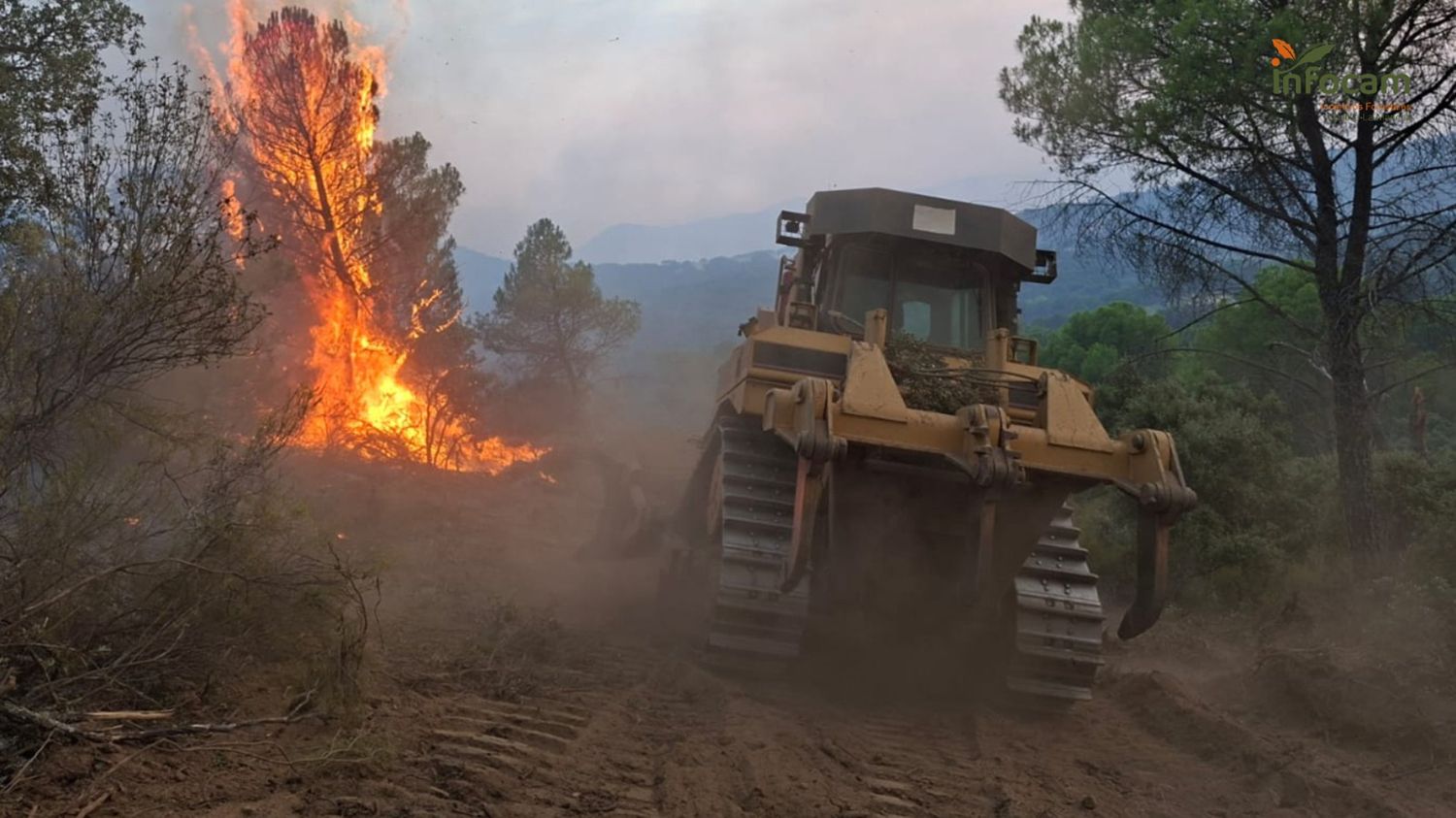 Incendio de Ávila |Foto: MeteoÁvila