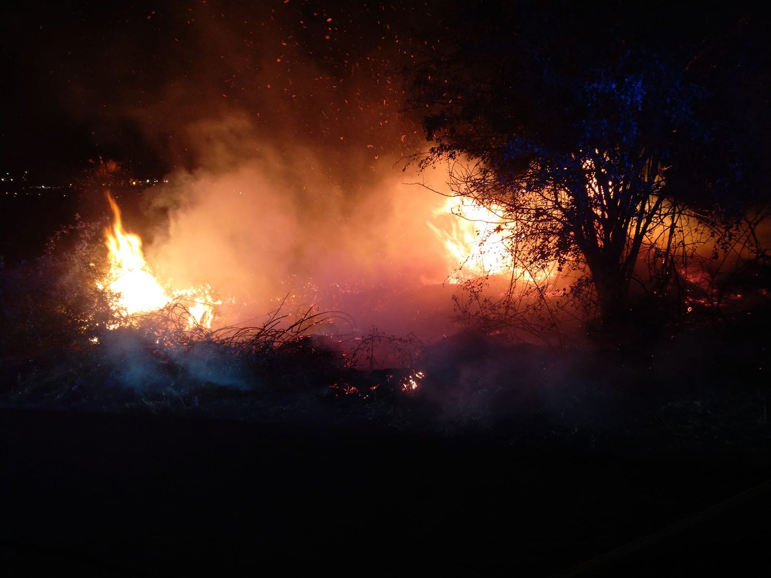 Imagen de uno de los incendios provocados