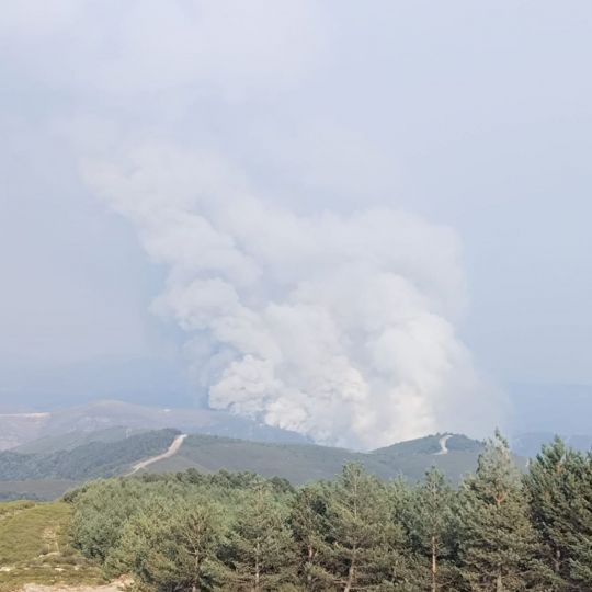 Incendio en Veguellina (Villafranca del Bierzo)