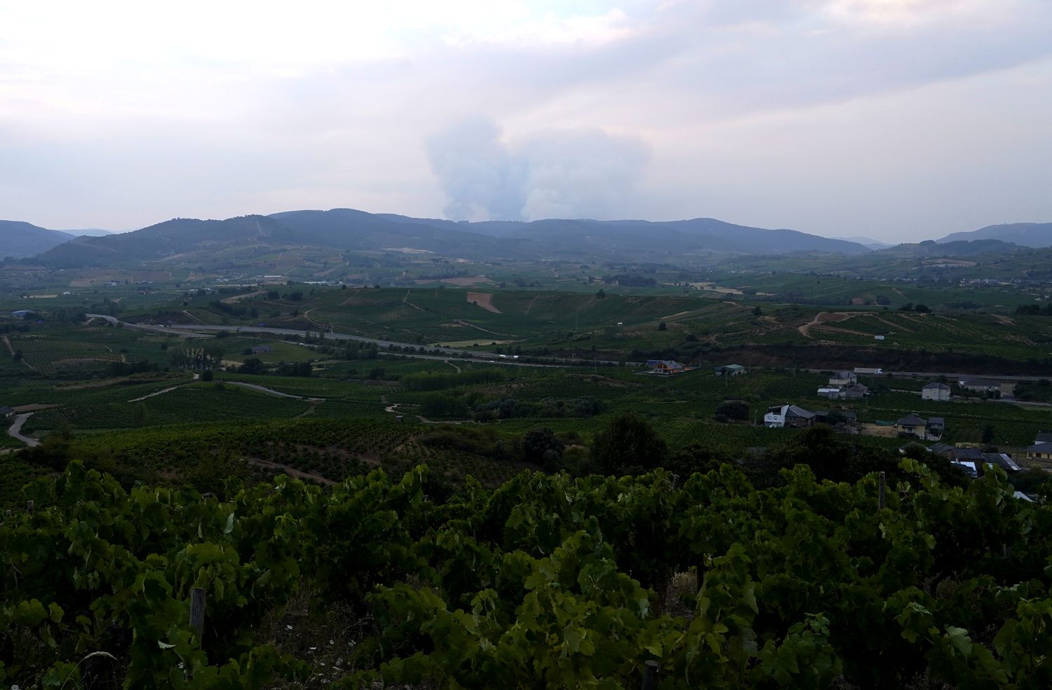 Incendio en Veguellina, perteneciente al municipio de Villafranca del Bierzo(6) | Foto: César Sánchez, ICAL Incendio en Veguellina, perteneciente al municipio de Villafranca del Bierzo(6) | Foto: César Sánchez, ICAL