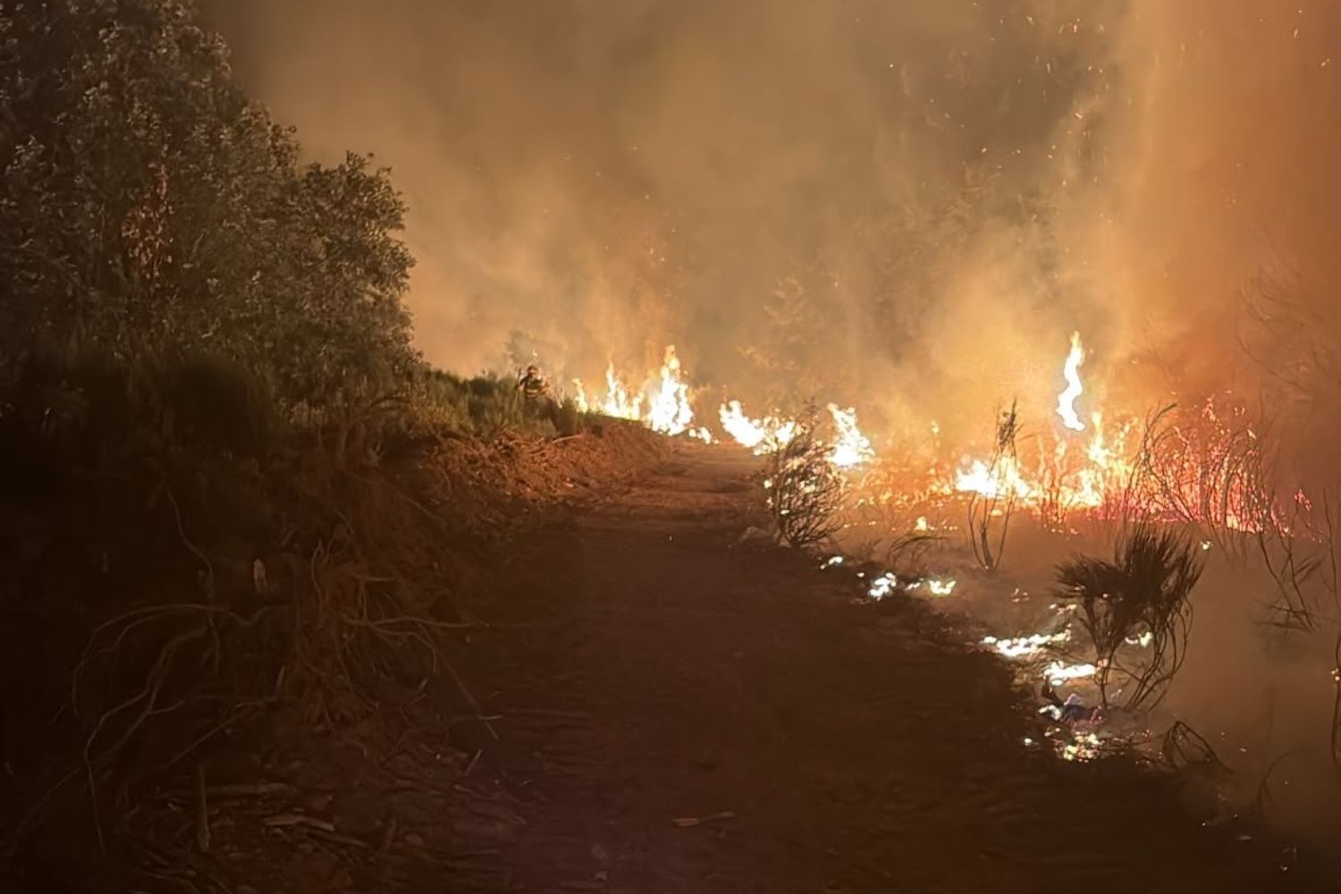Labores nocturnas de la BRIF Tineo en el incendio de San Cipriano del Condado | ATBrif Labores nocturnas de la BRIF Tineo en el incendio de San Cipriano del Condado | ATBrif