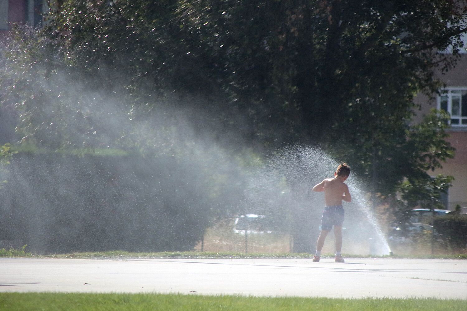El calor seguirá apretando en León pese al ligero descenso de las temperaturas previsto | Peio García / ICAL El calor seguirá apretando en León pese al ligero descenso de las temperaturas previsto | Peio García / ICAL