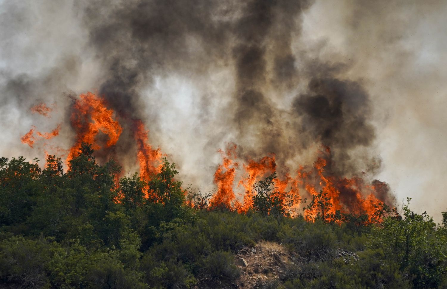 Incendio en la localidad de Veguellina, perteneciente al municipio de Villafranca del Bierzo| Foto: César Sánchez, ICAL Incendio en la localidad de Veguellina, perteneciente al municipio de Villafranca del Bierzo| Foto: César Sánchez, ICAL