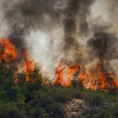 Incendio en la localidad de Veguellina, perteneciente al municipio de Villafranca del Bierzo| Foto: César Sánchez, ICAL Incendio en la localidad de Veguellina, perteneciente al municipio de Villafranca del Bierzo| Foto: César Sánchez, ICAL