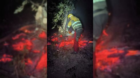 Incendio de Veguellina