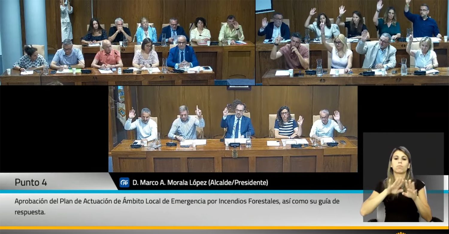 Votos a favor del plan de actuación