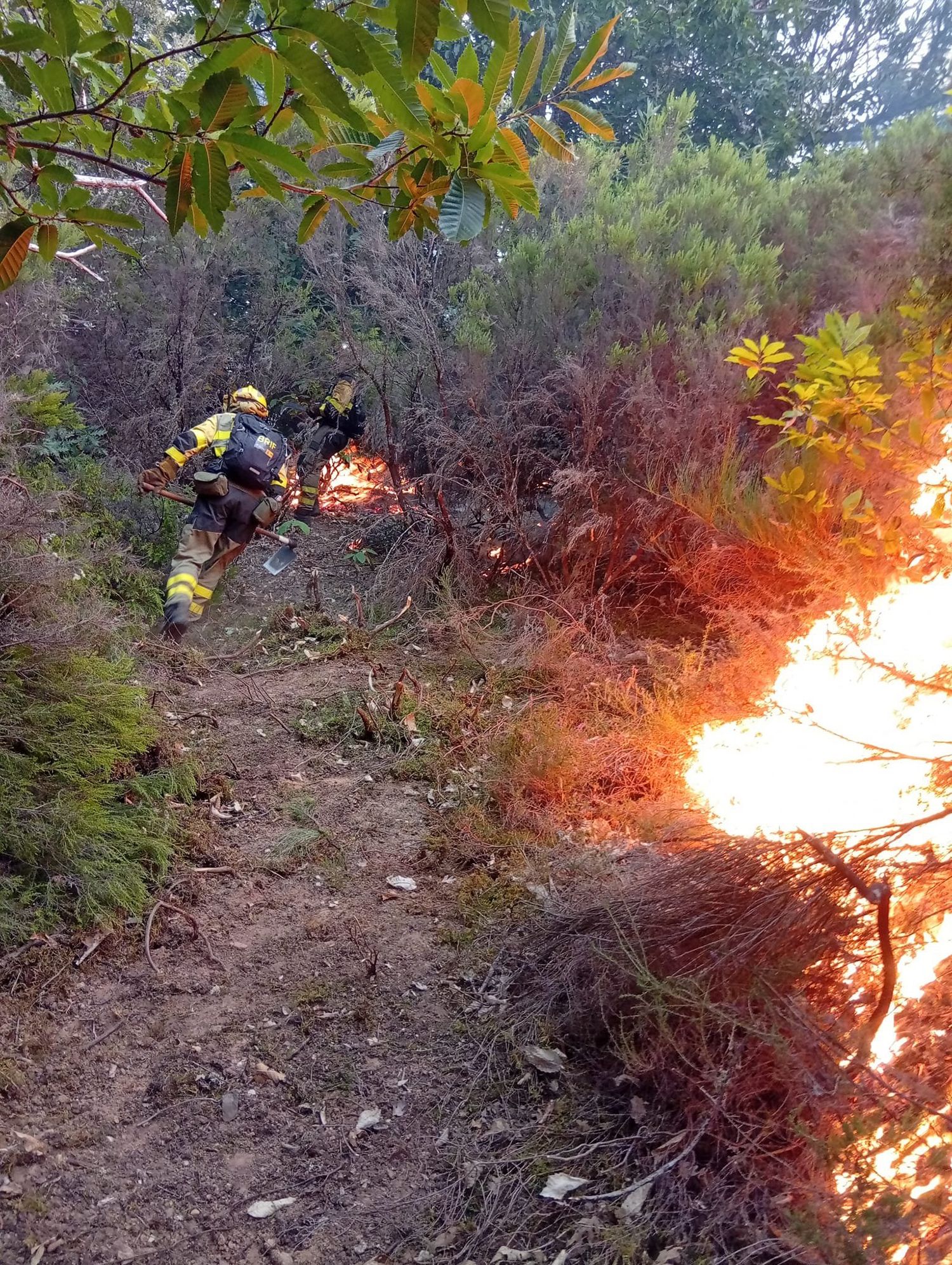 Labores de extinción en el incendio de Veguellina Labores de extinción en el incendio de Veguellina