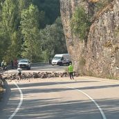 Pequeño desprendimiento en la carretera CL-633 | Foto: Telegram