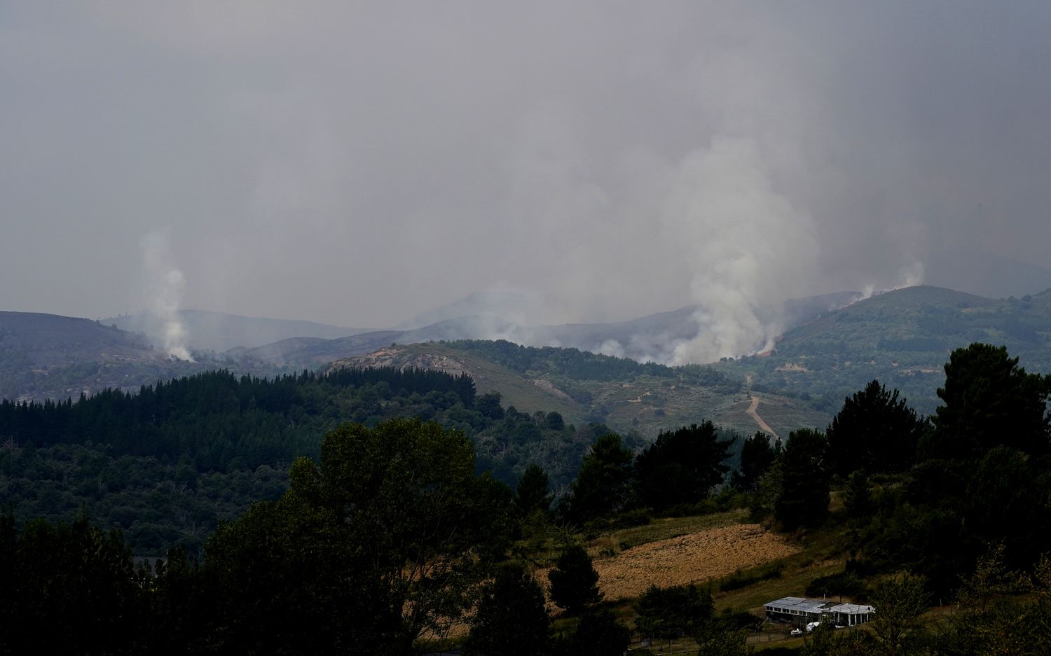 El incendio declarado en Veguellina avanza hacia la localidad de Moreda (Vega de Espinareda) (4) | Foto: César Sánchez, ICAL El incendio declarado en Veguellina avanza hacia la localidad de Moreda (Vega de Espinareda) (4) | Foto: César Sánchez, ICAL