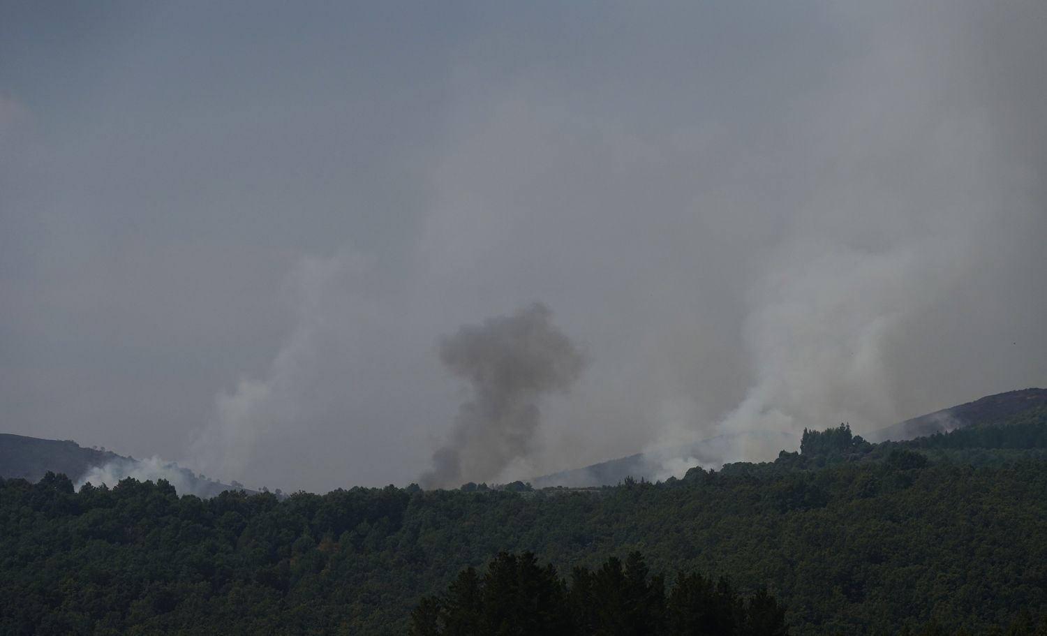 El incendio declarado en Veguellina avanza hacia la localidad de Moreda (Vega de Espinareda) (5) | Foto: César Sánchez, ICAL El incendio declarado en Veguellina avanza hacia la localidad de Moreda (Vega de Espinareda) (5) | Foto: César Sánchez, ICAL