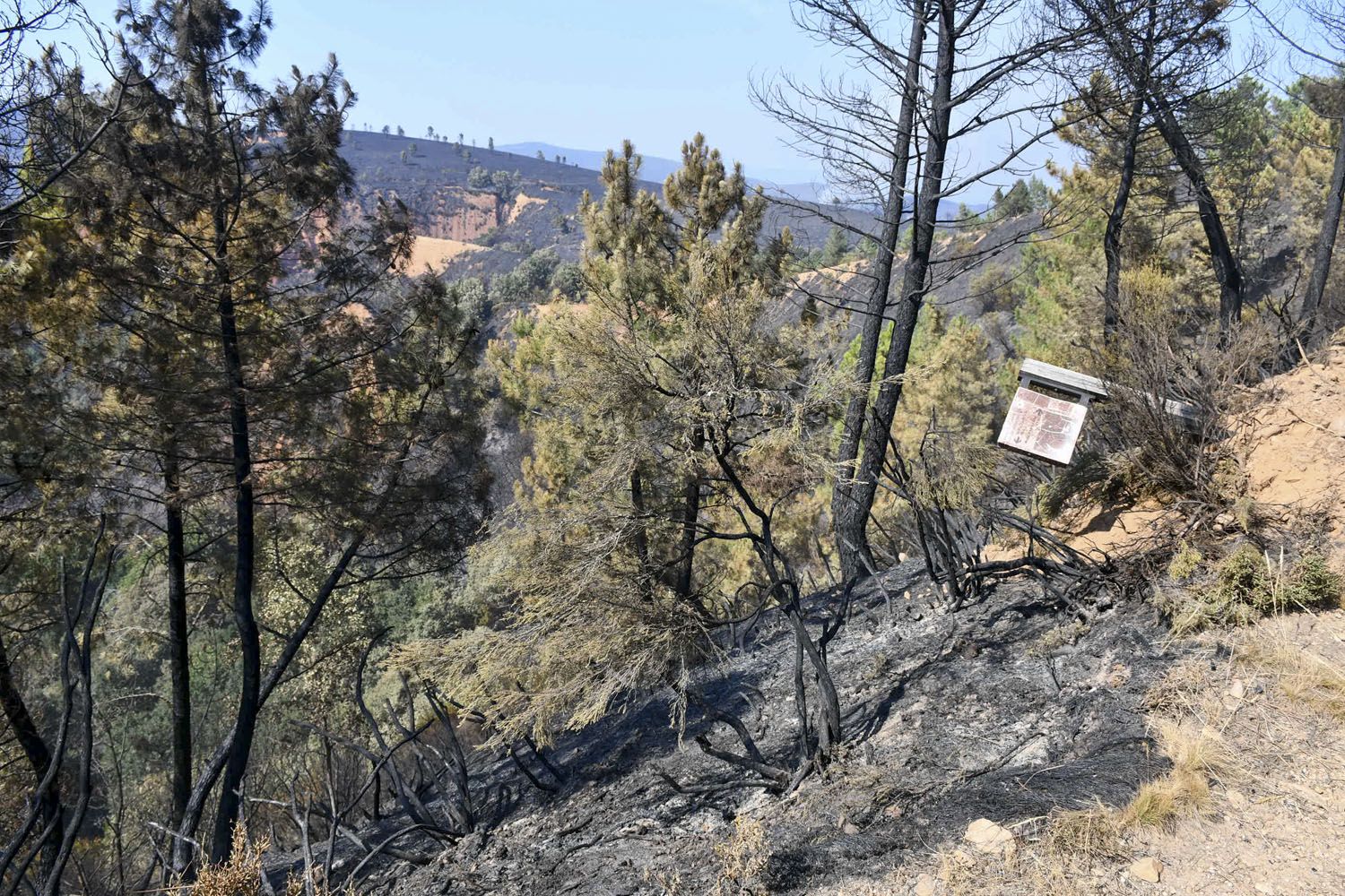 El incendio de Veguellina llega La Leitosa El incendio de Veguellina llega La Leitosa