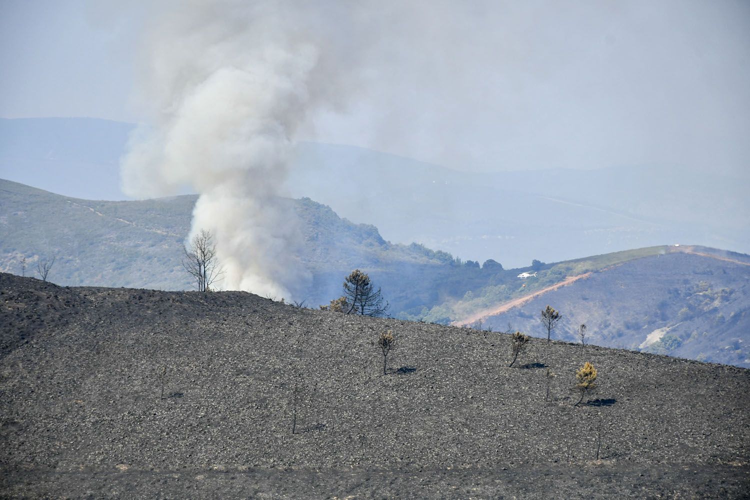 El incendio de Veguellina llega La Leitosa 6 El incendio de Veguellina llega La Leitosa 6
