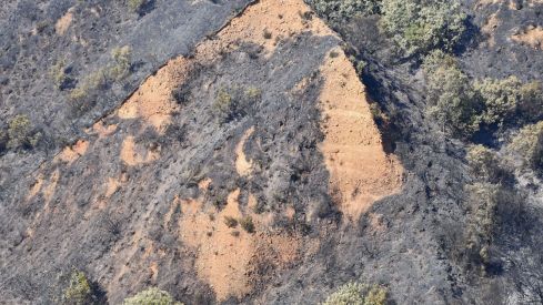 El incendio de Veguellina llega La Leitosa 7 El incendio de Veguellina llega La Leitosa 7