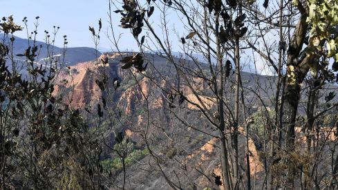El incendio de Veguellina llega La Leitosa 9 El incendio de Veguellina llega La Leitosa 9