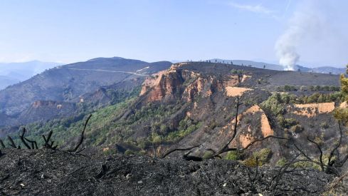 El incendio de Veguellina llega La Leitosa | Foto: Dani Merino, InfoBierzo