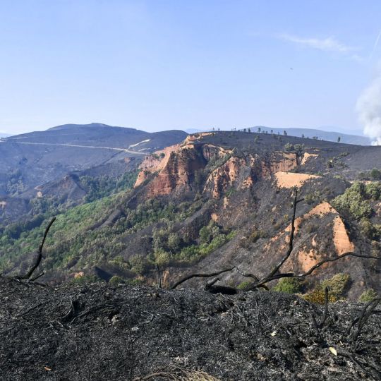 El incendio de Veguellina llega La Leitosa | Foto: Dani Merino, InfoBierzo El incendio de Veguellina llega La Leitosa | Foto: Dani Merino, InfoBierzo