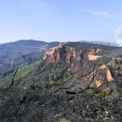 El incendio de Veguellina llega La Leitosa | Foto: Dani Merino, InfoBierzo El incendio de Veguellina llega La Leitosa | Foto: Dani Merino, InfoBierzo
