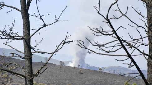 El incendio de Veguellina llega La Leitosa 12 El incendio de Veguellina llega La Leitosa 12
