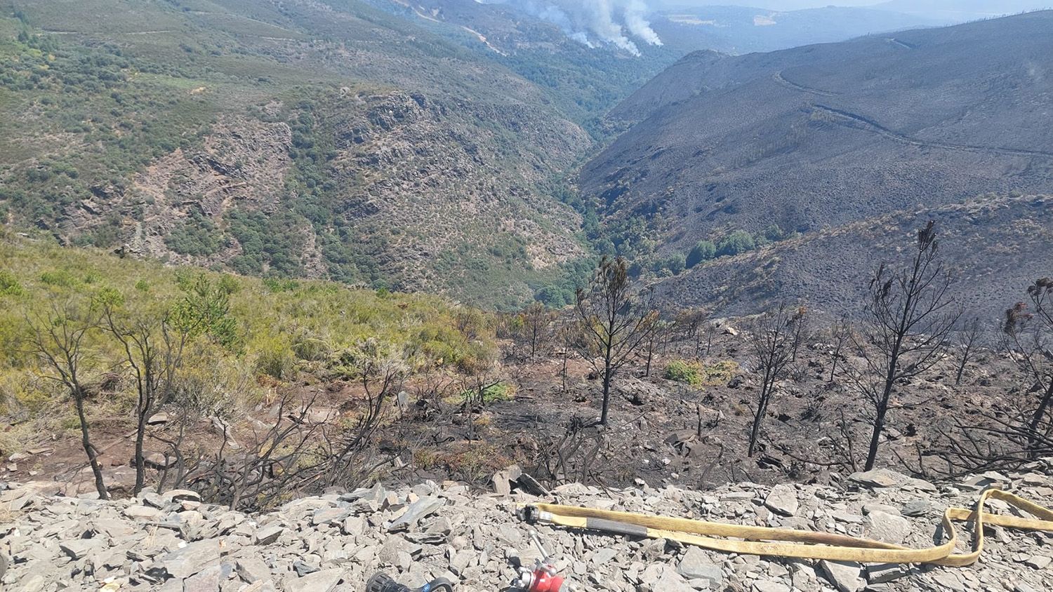 Incendio de Veguellina | Foto: Brif Tabuyo Incendio de Veguellina | Foto: Brif Tabuyo