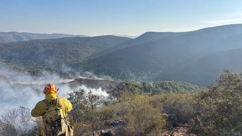Incendio de Veguellina | Foto: Brif Tabuyo