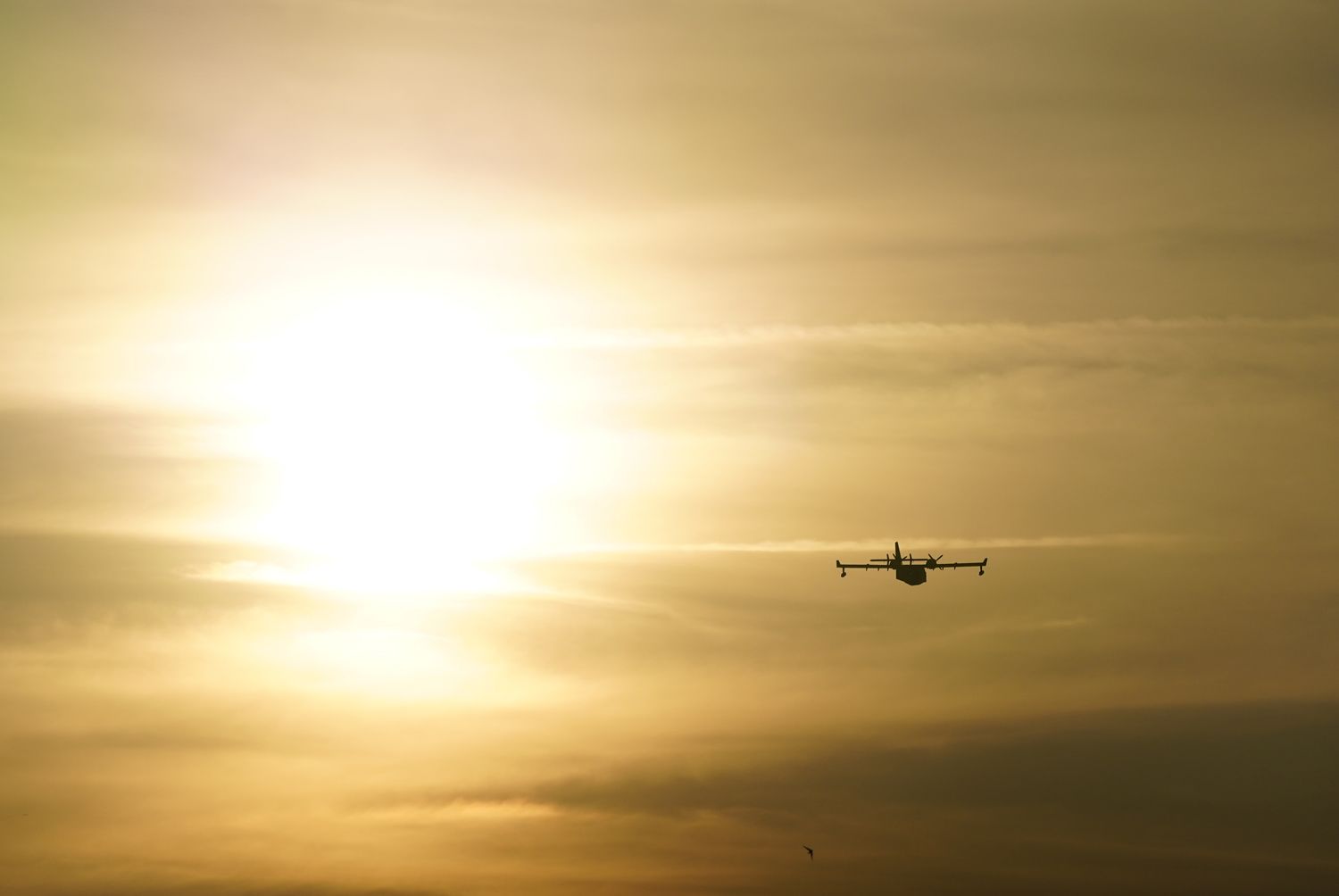 Un hidroavión carga agua en el pantano de Bárcena, para el incendio de Veguellina (Villafranca del Bierzo) (1) | Foto: César Sánchez, ICAL Un hidroavión carga agua en el pantano de Bárcena, para el incendio de Veguellina (Villafranca del Bierzo) (1) | Foto: César Sánchez, ICAL