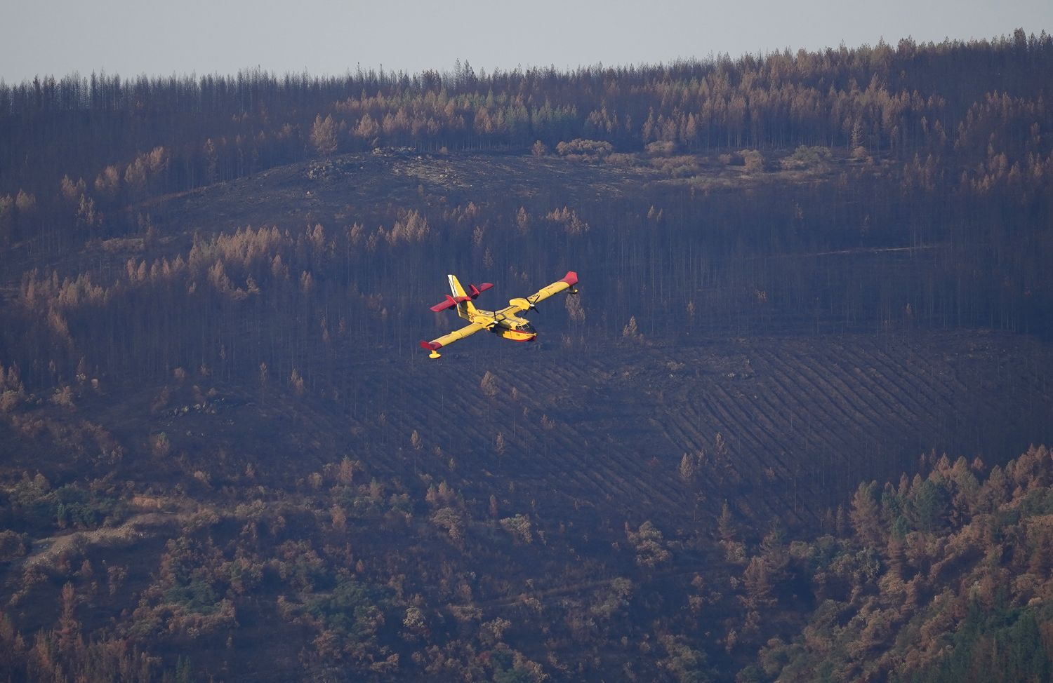 Un hidroavión carga agua en el pantano de Bárcena, para el incendio de Veguellina (Villafranca del Bierzo) (4) | Foto: César Sánchez, ICAL Un hidroavión carga agua en el pantano de Bárcena, para el incendio de Veguellina (Villafranca del Bierzo) (4) | Foto: César Sánchez, ICAL