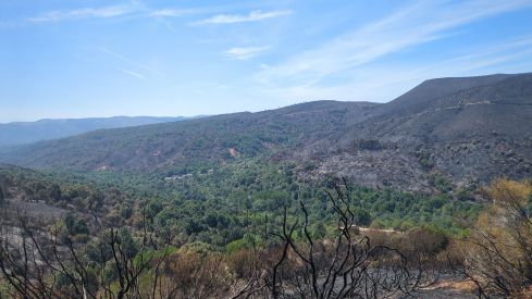 Incendio de Veguellina | Foto: Brif Tabuyo
