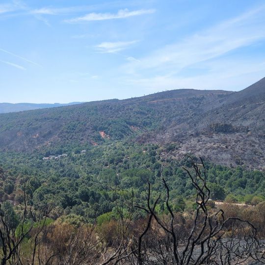 Incendio de Veguellina | Foto: Brif Tabuyo Incendio de Veguellina | Foto: Brif Tabuyo