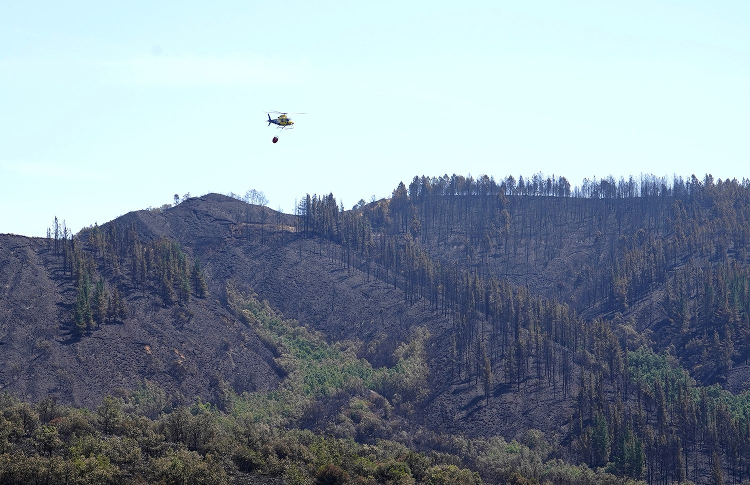 Incendio de Veguellina | Foto: César Sánchez, ICAL