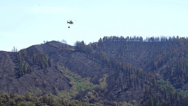 Incendio de Veguellina | Foto: César Sánchez, ICAL