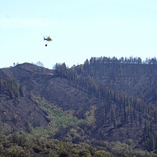 Incendio de Veguellina | Foto: César Sánchez, ICAL Incendio de Veguellina | Foto: César Sánchez, ICAL