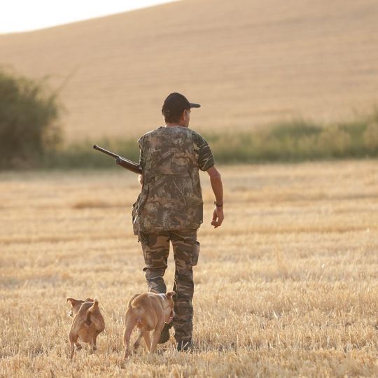Primera jornada de la media de veda de caza en Castilla y León Primera jornada de la media de veda de caza en Castilla y León