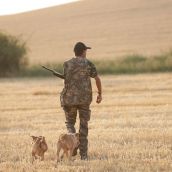Primera jornada de la media de veda de caza en Castilla y León Primera jornada de la media de veda de caza en Castilla y León