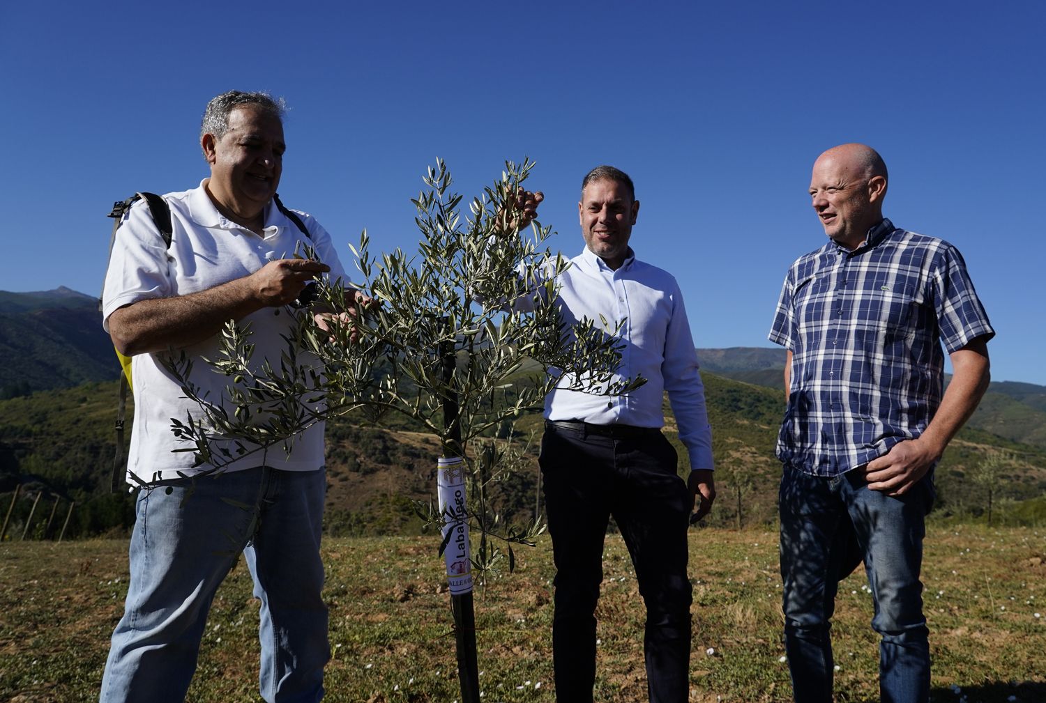 Presentación de los avances en la búsqueda, identificación, reproducción y conservación de posibles variedades autóctonas de olivo del Bierzo (3) | Foto: César Sánchez, ICAL Presentación de los avances en la búsqueda, identificación, reproducción y conservación de posibles variedades autóctonas de olivo del Bierzo (3) | Foto: César Sánchez, ICAL
