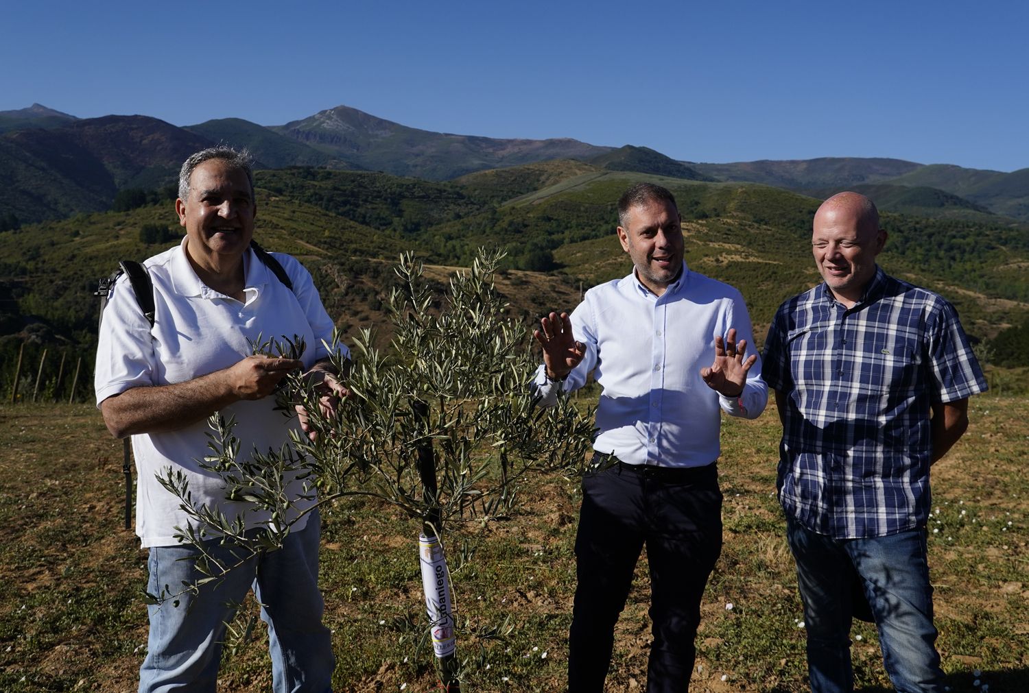 Presentación de los avances en la búsqueda, identificación, reproducción y conservación de posibles variedades autóctonas de olivo del Bierzo (4) | Foto: César Sánchez, ICAL Presentación de los avances en la búsqueda, identificación, reproducción y conservación de posibles variedades autóctonas de olivo del Bierzo (4) | Foto: César Sánchez, ICAL