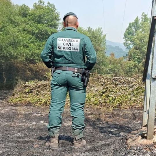 Detenida la presunta responsable de un incendio forestal en Vega de Espinareda | Guardia Civil Detenida la presunta responsable de un incendio forestal en Vega de Espinareda | Guardia Civil
