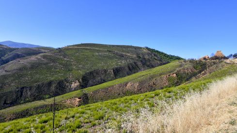 Las Médulas un año después del incendio (7) Las Médulas un año después del incendio (7)