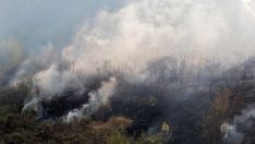 Incendio forestal en Cifuentes de Rueda, en el municipio de Gradefes (León) | Foto: Peio García, ICAL