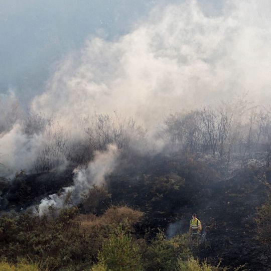 Incendio forestal en Cifuentes de Rueda, en el municipio de Gradefes (León) | Foto: Peio García, ICAL