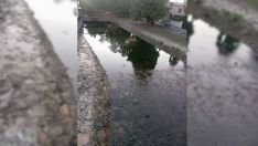 Escasez de agua en el río Oza en Toral de Merayo | Foto: Junta Vecinal de Toral de Merayo Escasez de agua en el río Oza en Toral de Merayo | Foto: Junta Vecinal de Toral de Merayo