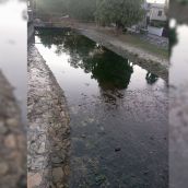 Escasez de agua en el río Oza en Toral de Merayo | Foto: Junta Vecinal de Toral de Merayo