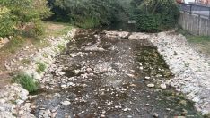 Escasez de agua el río Oza en Toral de Merayo | Foto: InfoBierzo