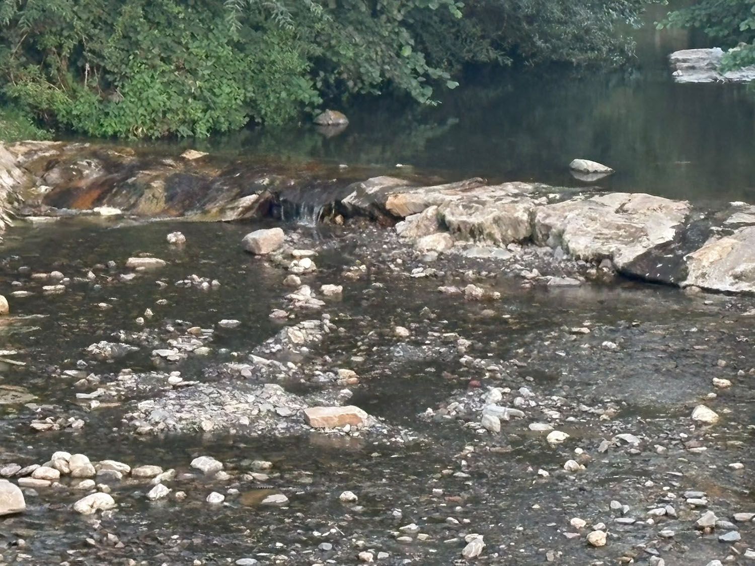 Escasez de agua el río Oza en Toral de Merayo | Foto: InfoBierzo Escasez de agua el río Oza en Toral de Merayo | Foto: InfoBierzo