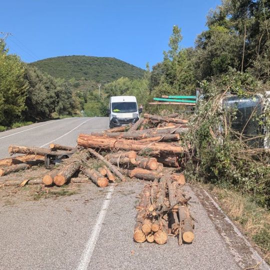 Camión de leña volcado en Carucedo | Foto: InfoBierzo